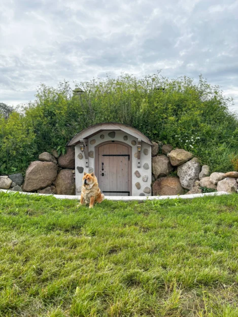 Storage cellar is the heart of every garden